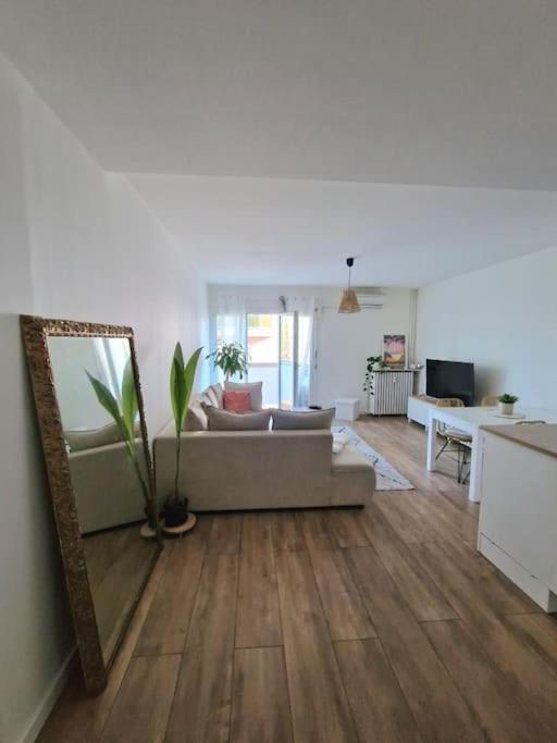 Appartement Cosy A 5 Min Des Plages Hyeres Exterior photo
